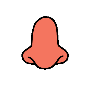 جراحی تیپ پلاستی