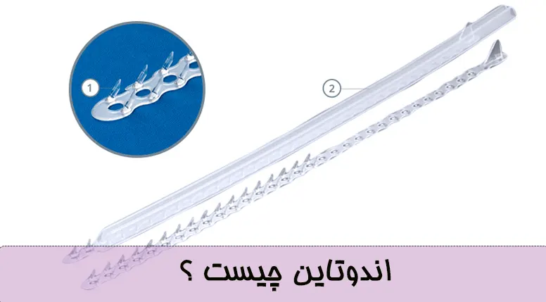 اندوتاین-چیست-؟