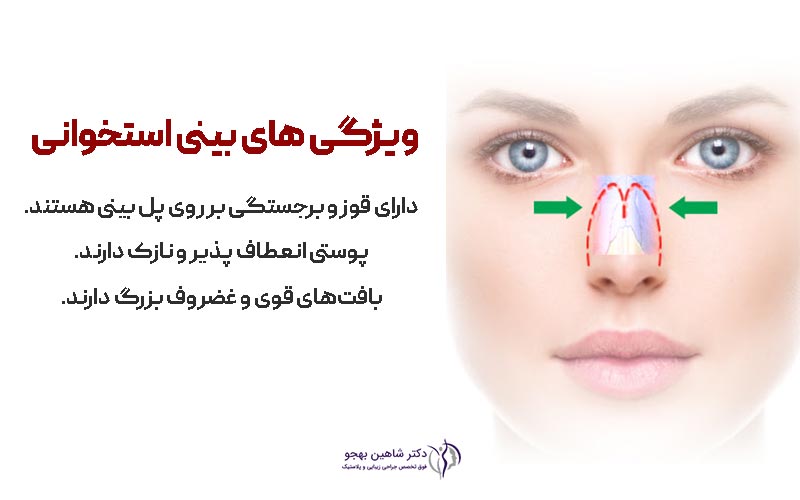 ویژگی های بینی استخوانی و غضروفی چیست
